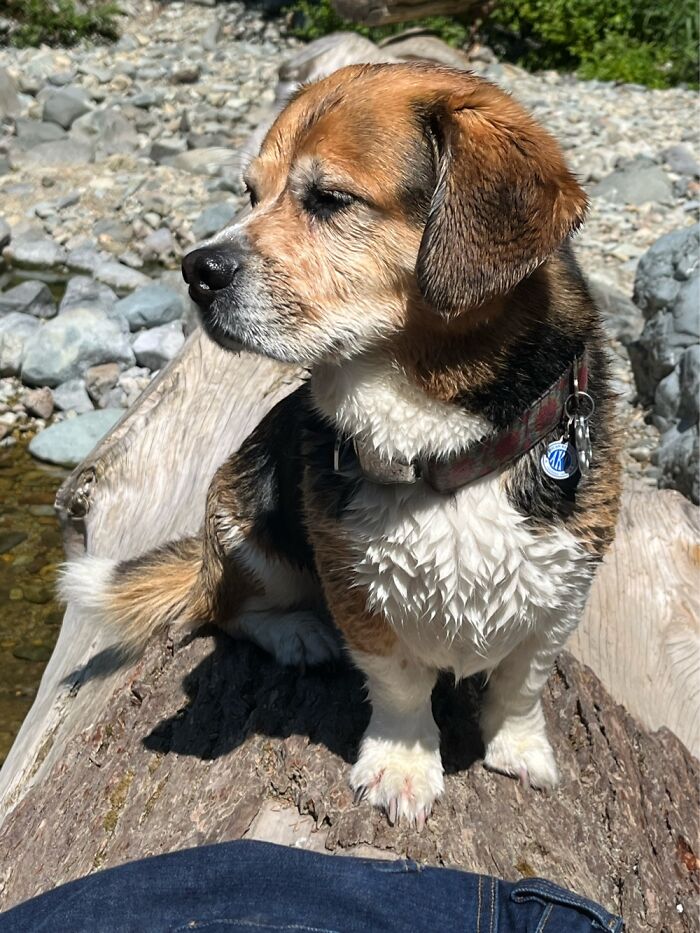 A Good Day At The River