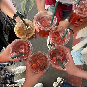 kress-victoria avatar