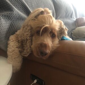 margaret_hunter avatar