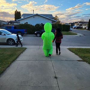 crystal_albert avatar