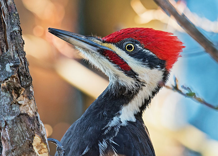 18 Datos muy interesantes que desconocidos por la mayoría de la gente