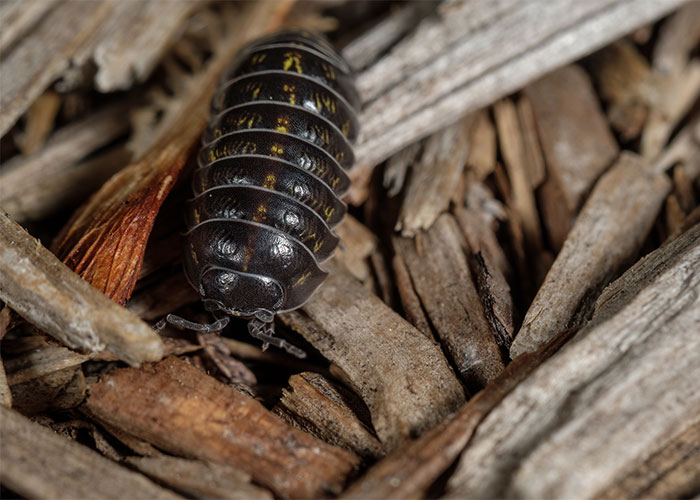 Someone Asks People To Share Facts That “Barely Anyone Knows”, And They Deliver (30 Answers)