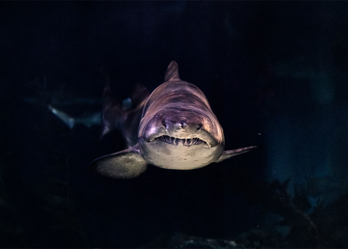 Someone Asks People To Share Facts That “Barely Anyone Knows”, And They Deliver (30 Answers)