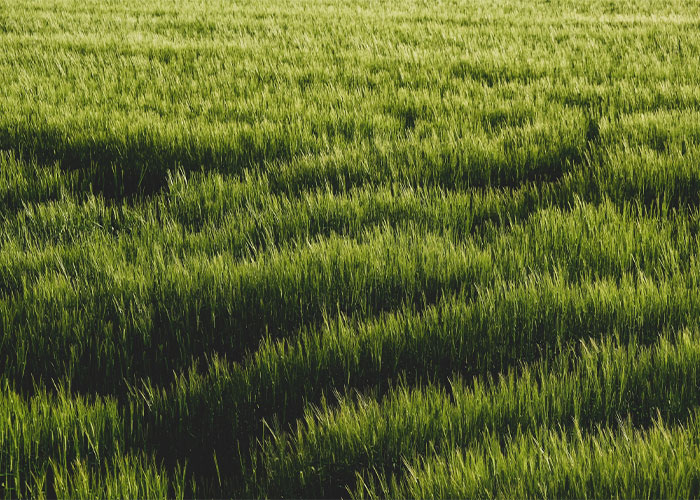 18 Datos muy interesantes que desconocidos por la mayoría de la gente