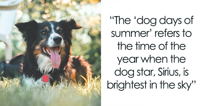 Someone Asks People To Share Facts That “Barely Anyone Knows”, And They Deliver (30 Answers)