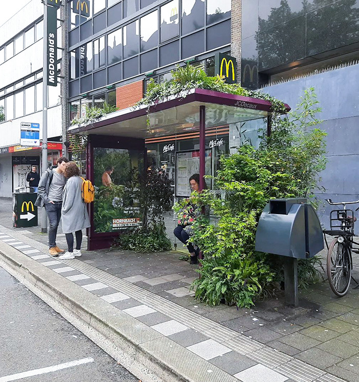 This Bus Stop
