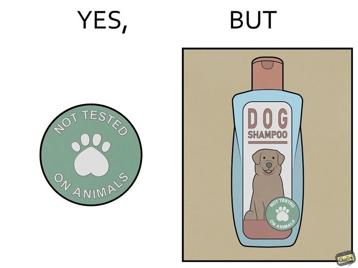 Illustration showing society’s contradictions with a "not tested on animals" label on dog shampoo in pet edition comic.