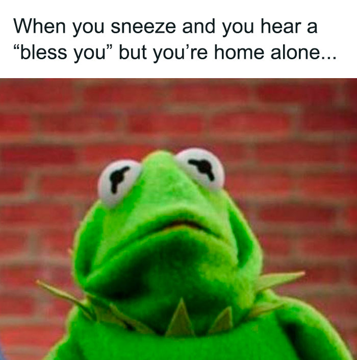 Scared Kermit the Frog meme with caption about hearing "bless you" when home alone.
