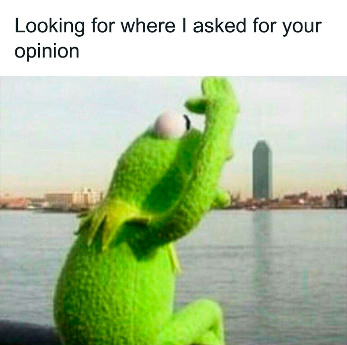Kermit the Frog meme looking over a city, humorously searching for where he asked for an opinion.