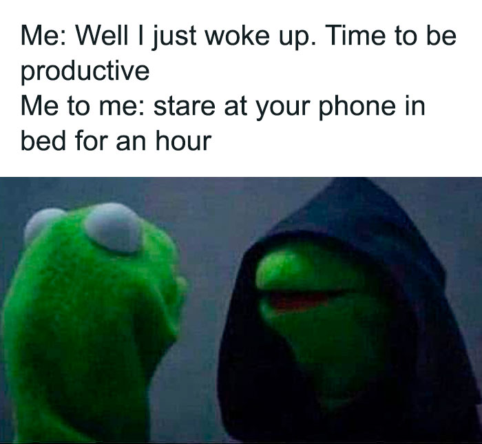 Evil Kermit meme with regular Kermit discussing being unproductive.