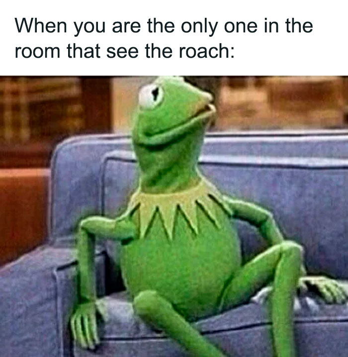 Kermit the Frog sitting on a couch looking surprised, captioned about a roach.