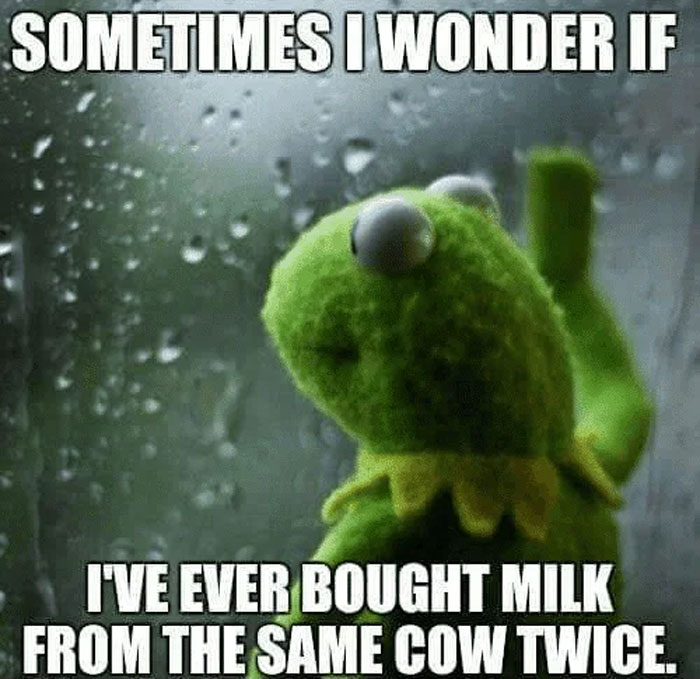 Kermit The Frog looking out a rainy window with a thoughtful expression, featured in a meme about buying milk.