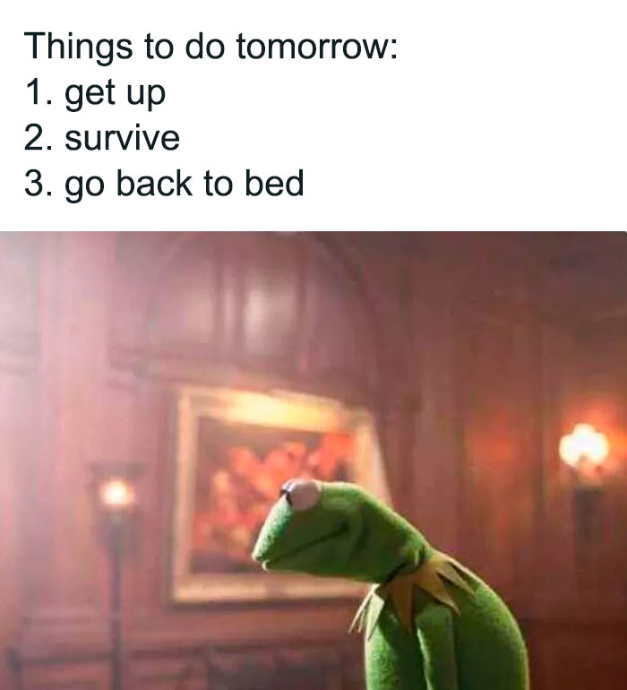 Sad Kermit the Frog meme with a bleak to-do list, featuring tasks like getting up, surviving, and going back to bed.