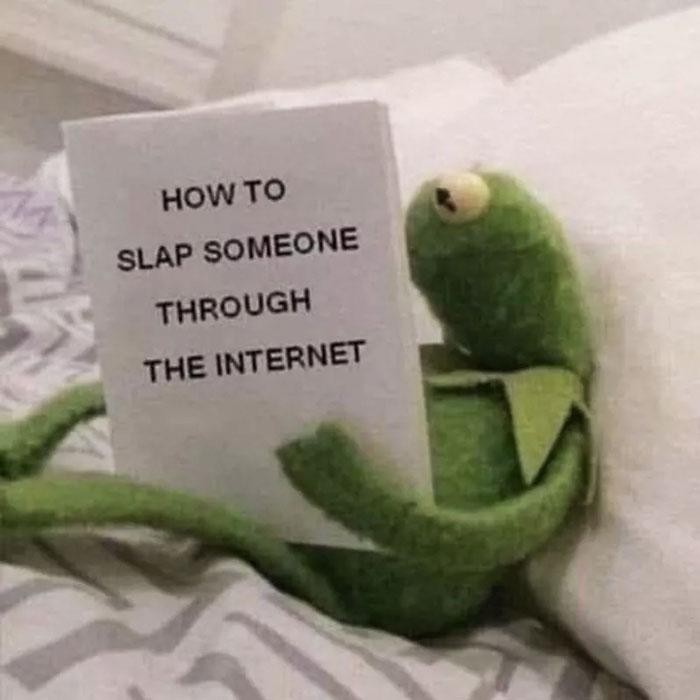 Kermit the Frog meme reading a humorous book in bed.