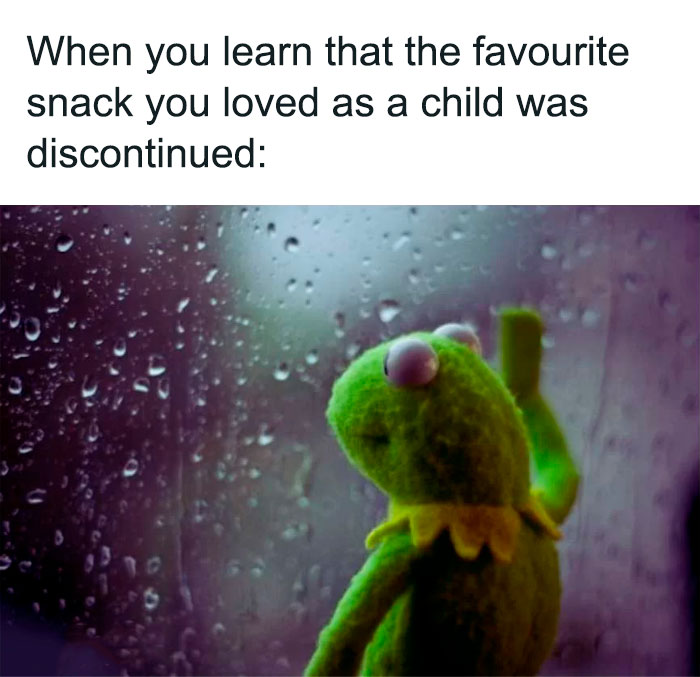 Kermit the Frog looking out a rainy window, capturing a relatable moment of nostalgia and loss; classic Kermit meme.