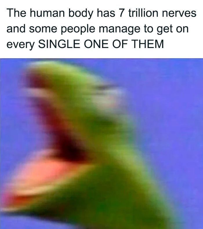 Screaming Kermit meme with text about nerves, featuring blurred image of Kermit the Frog.