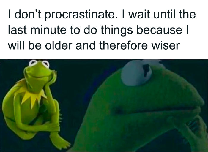 Thinking Kermit meme with text about procrastination humor.