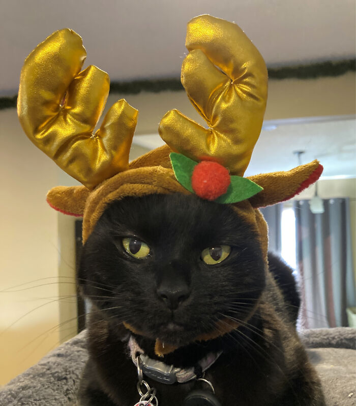 "It's Rough Being The Oldest Sometimes. You Have To Do Whatever It Takes To Make Sure The Little Ones Have Happy Holidays And Birthdays, Even If That Means Sacrificing Your Dignity." -Kohl, Age 7