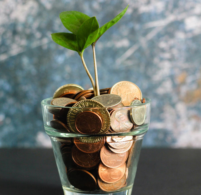 Pot full of money and a small plant 
