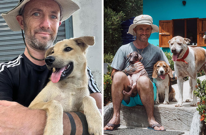 Man Finds His True Happiness Saving Stray Dogs In Thailand (20 Pics)