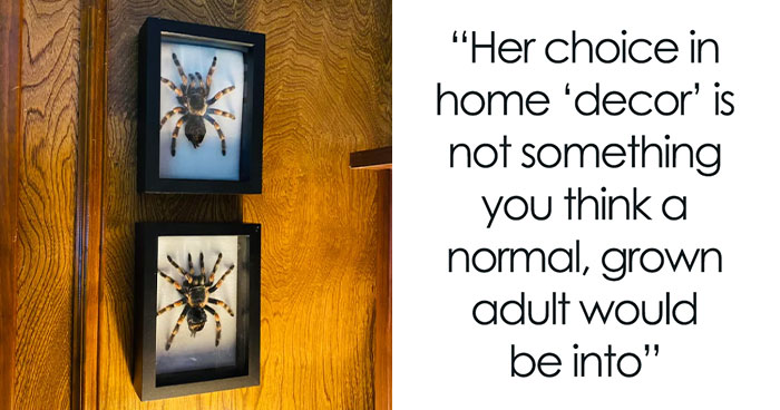 Guy Is Too Embarrassed To Let Anyone See Girlfriend’s ‘Childish’ Apartment, Drama Ensues