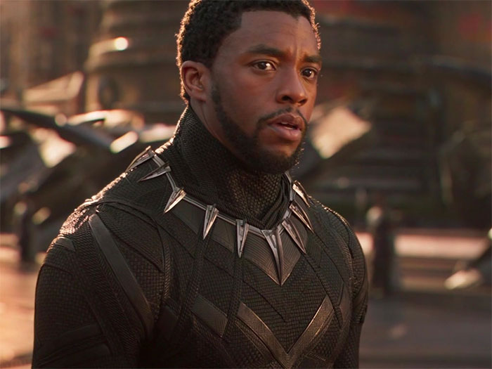T’Challa in combat costume