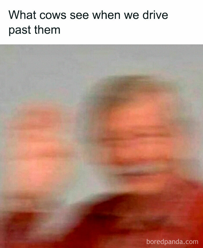 Meanwhile-In-Ireland-Memes