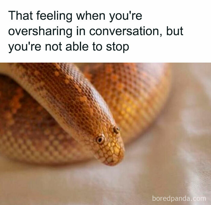 Mental health meme with a snake coiled up, captioned about oversharing in conversation.