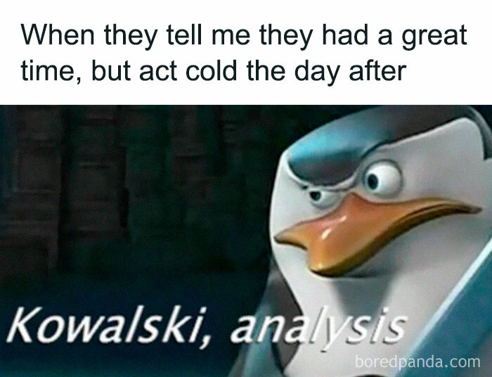 Penguin meme with "Kowalski, analysis" text highlighting a mental health theme.