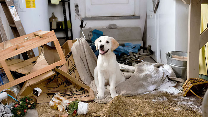 “The Whole Theater Emptied Without A Word”: 50 Powerful Films That Left Viewers In Shock