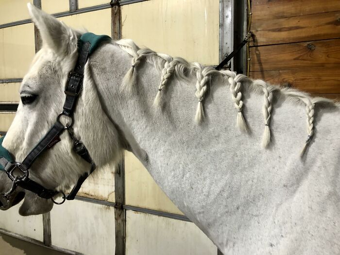 20 Trabajos sorprendentemente bien pagados que poca gente conoce