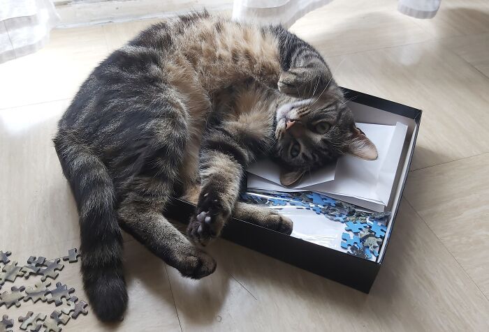 Neighbours Abandoned Him But We Didn't