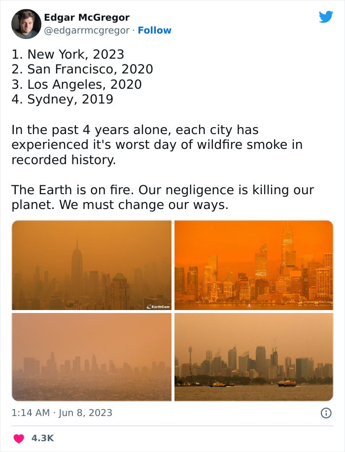 'Not An Apocalyptic Movie Scene': People Share What NYC Looks Like Right Now 'Not An Apocalyptic Movie Scene': People Share What NYC Looks Like Right Now