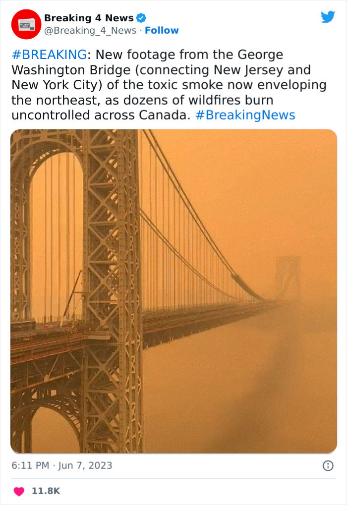 'Not An Apocalyptic Movie Scene': People Share What NYC Looks Like Right Now 'Not An Apocalyptic Movie Scene': People Share What NYC Looks Like Right Now