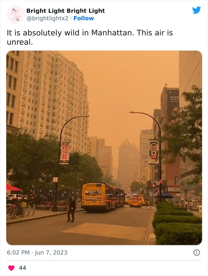 'Not An Apocalyptic Movie Scene': People Share What NYC Looks Like Right Now 'Not An Apocalyptic Movie Scene': People Share What NYC Looks Like Right Now