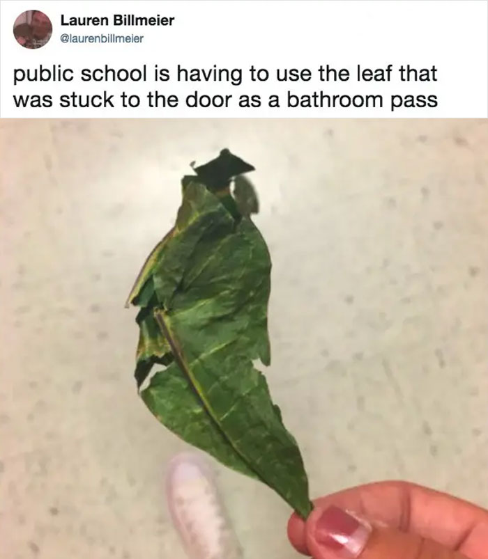 Normal-Things-Happened-High-School-Considered-Wild-Now