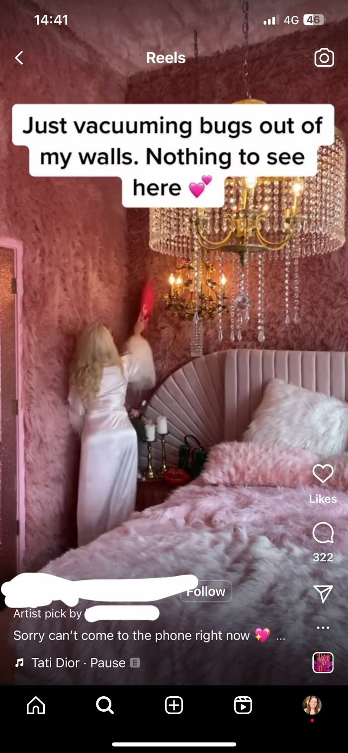 Fur Walls, Ceiling And Bedding