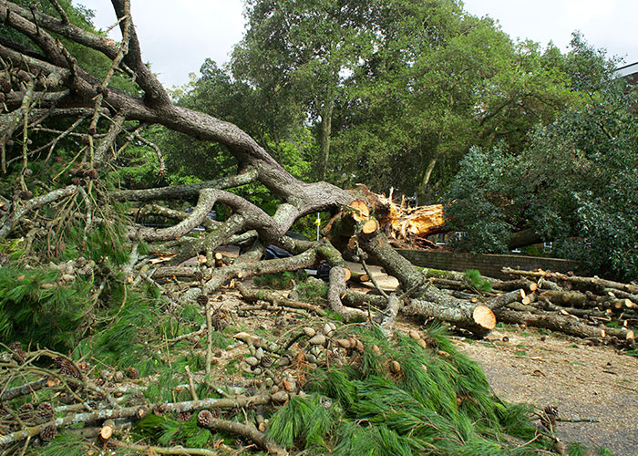 50 Chilling Stories From People Who Have Seen Things They Couldn’t Explain