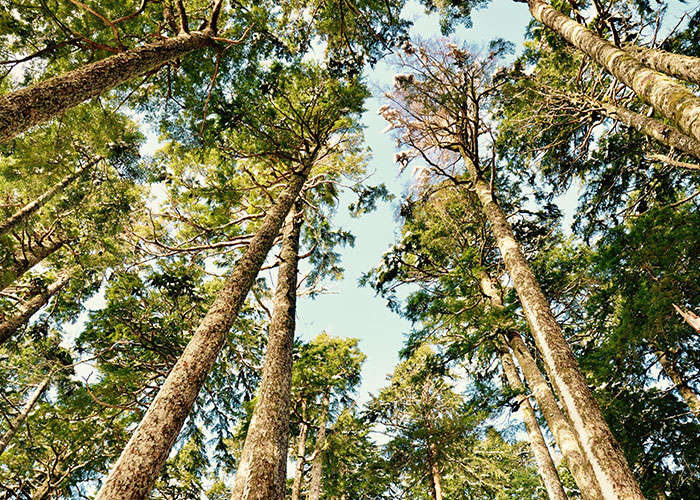 50 Chilling Stories From People Who Have Seen Things They Couldn’t Explain