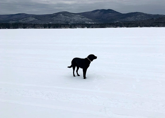 50 Chilling Stories From People Who Have Seen Things They Couldn’t Explain