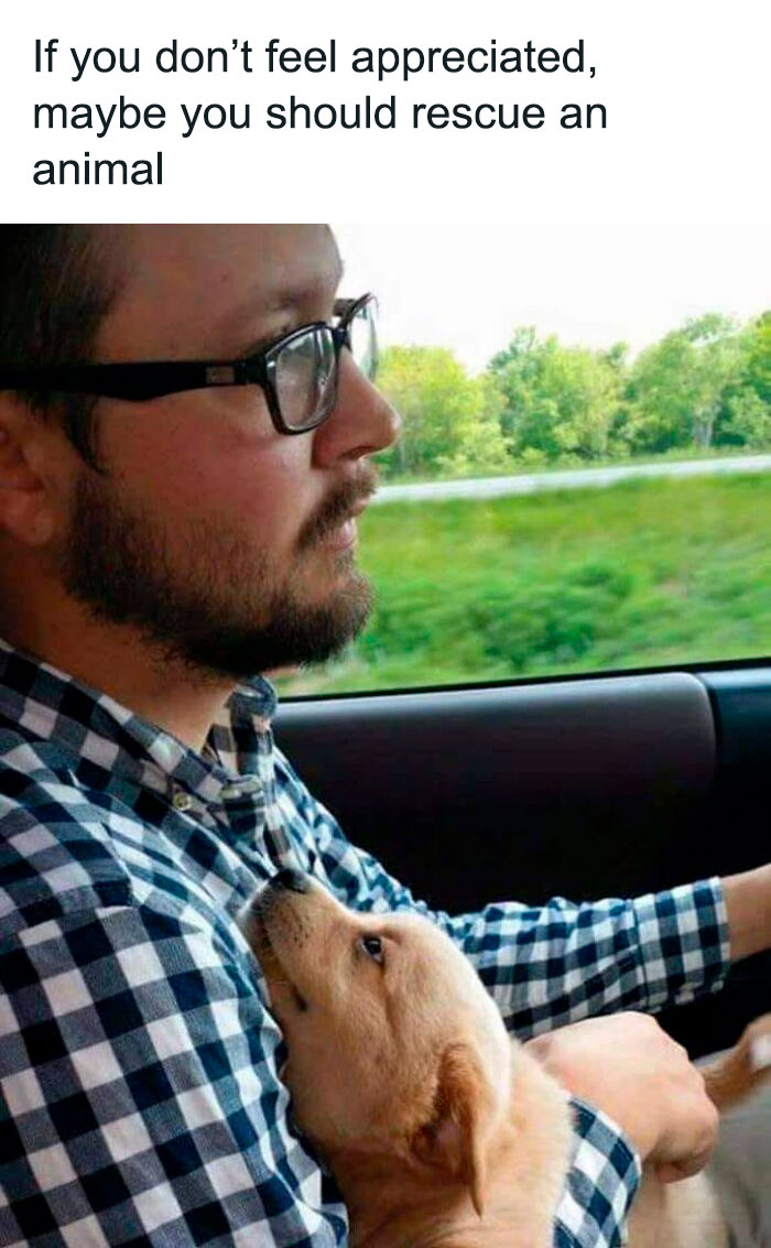 People-Share-Wholesome-Posts