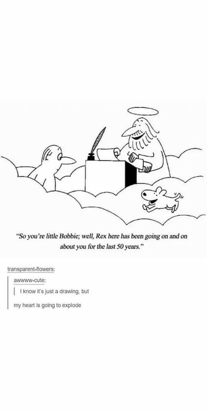 People-Share-Wholesome-Posts