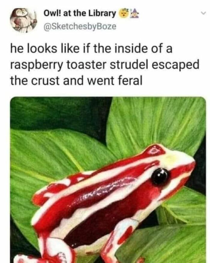 People-Share-Wholesome-Posts