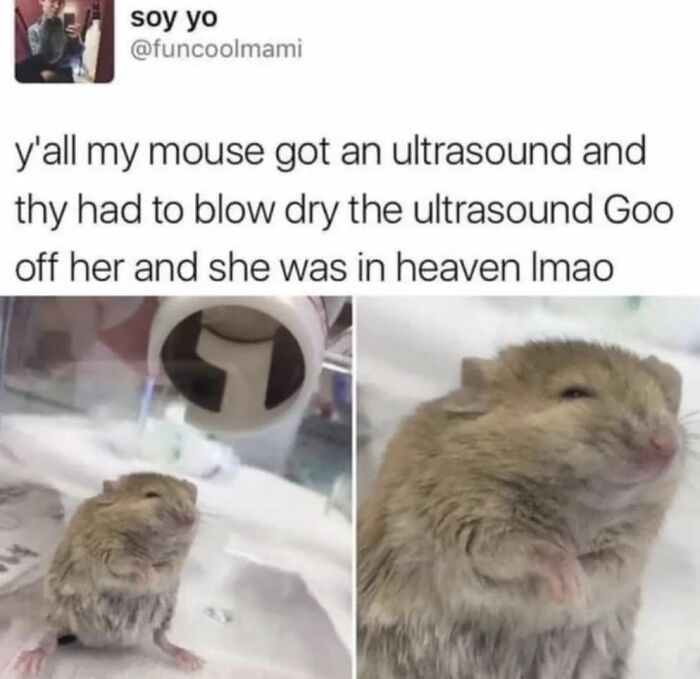 People-Share-Wholesome-Posts