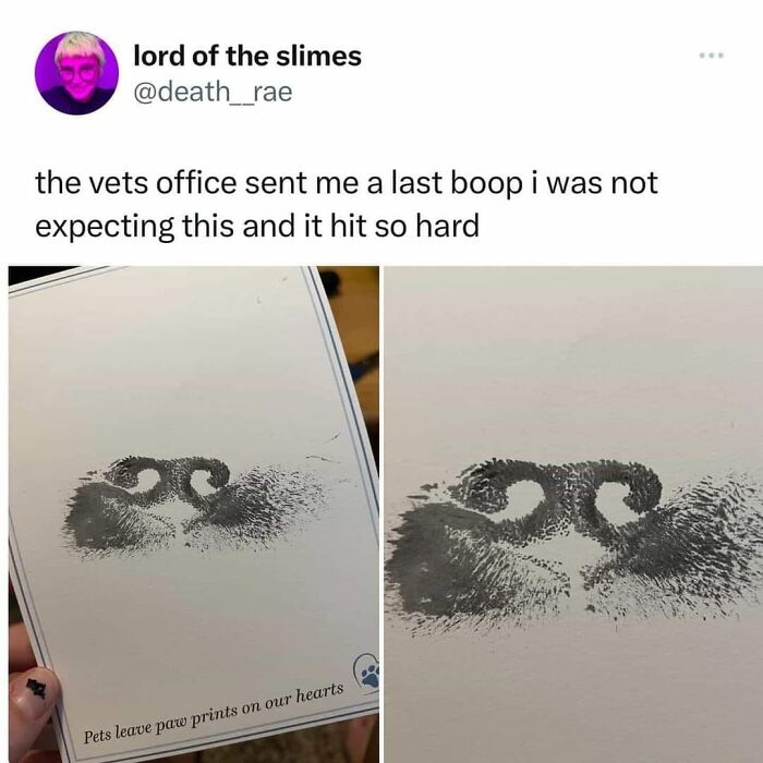 People-Share-Wholesome-Posts