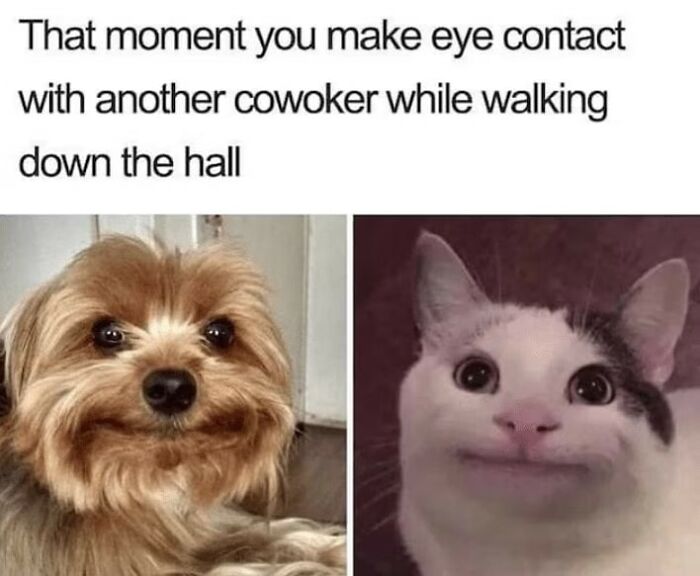 People-Share-Wholesome-Posts