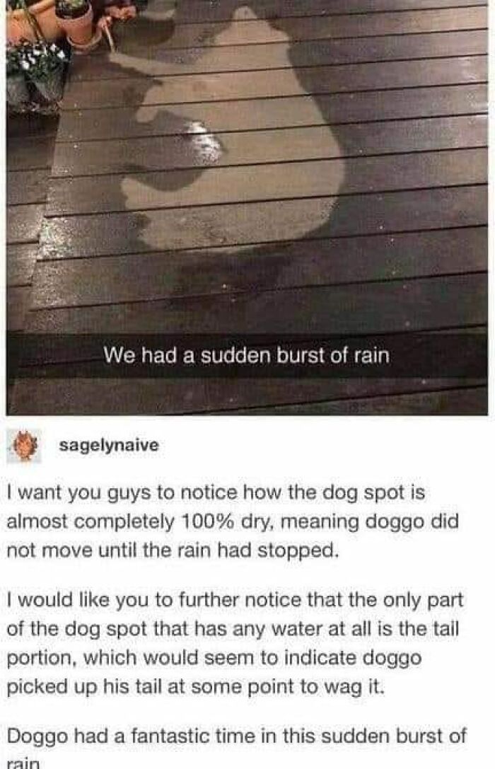 People-Share-Wholesome-Posts