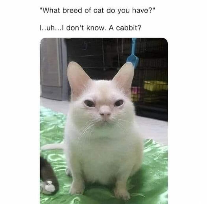 People-Share-Wholesome-Posts