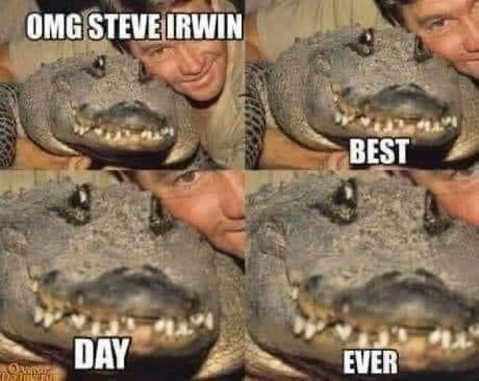 People-Share-Wholesome-Posts