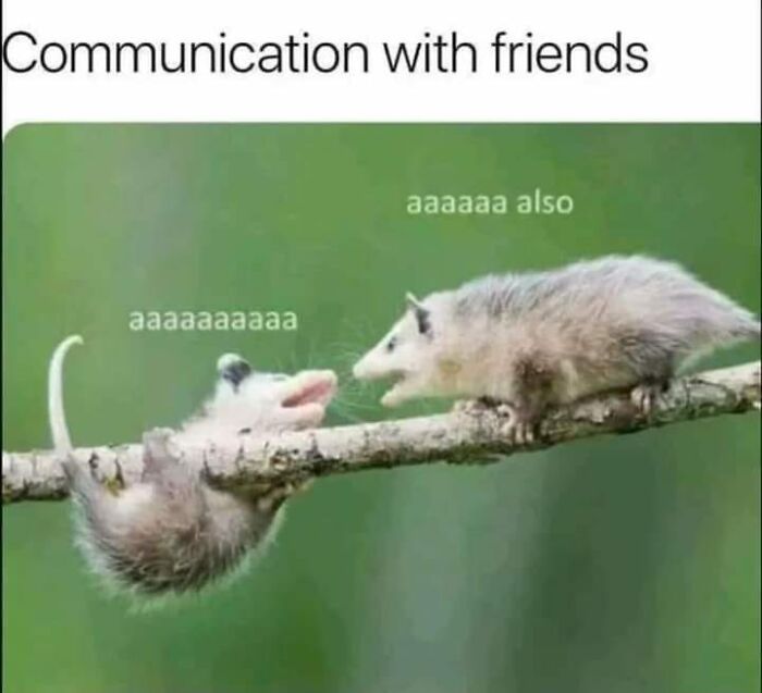 People-Share-Wholesome-Posts